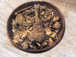 С������������ո������� (42746 bytes)