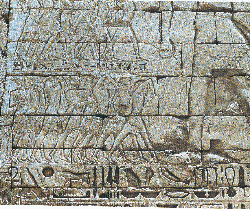 ����ʿ�ı�ʿ (62082 bytes)