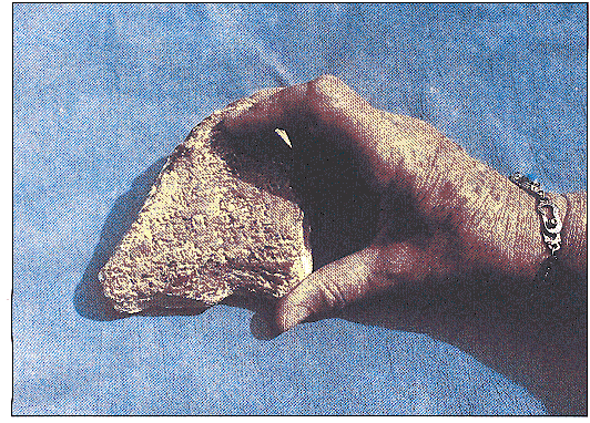 Gilgamesh 史诗的残片 (122068 bytes)