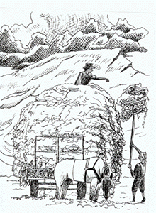 16.gif (47197 �ֽ�)