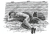 37.gif (24019 字节)